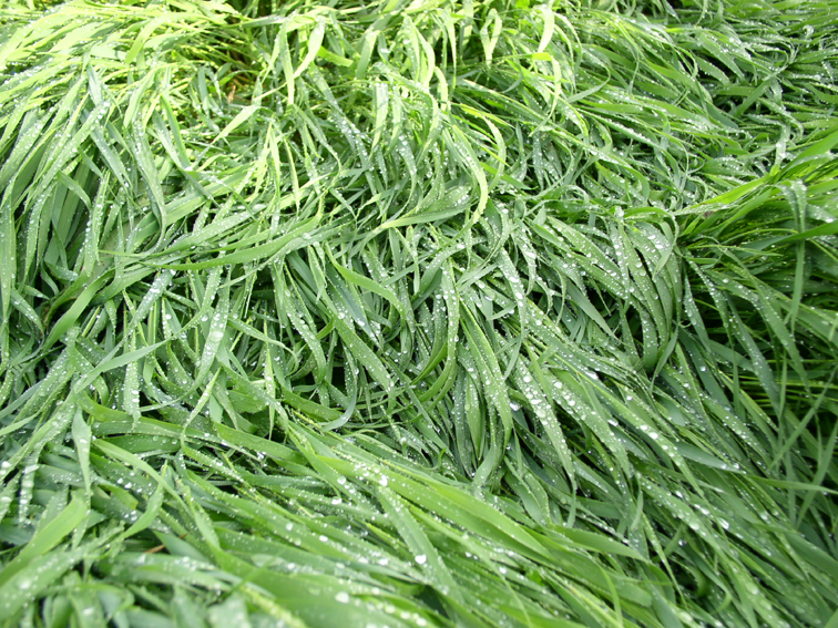 P1010018 web.jpg