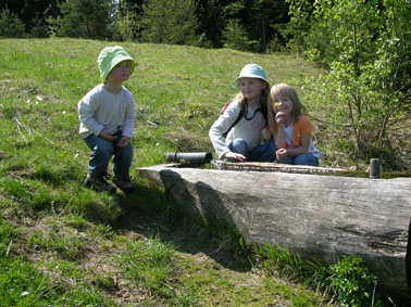 DSCN3981web.jpg