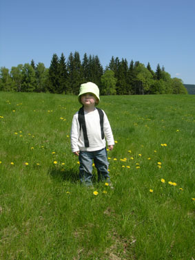 DSCN3996web.jpg
