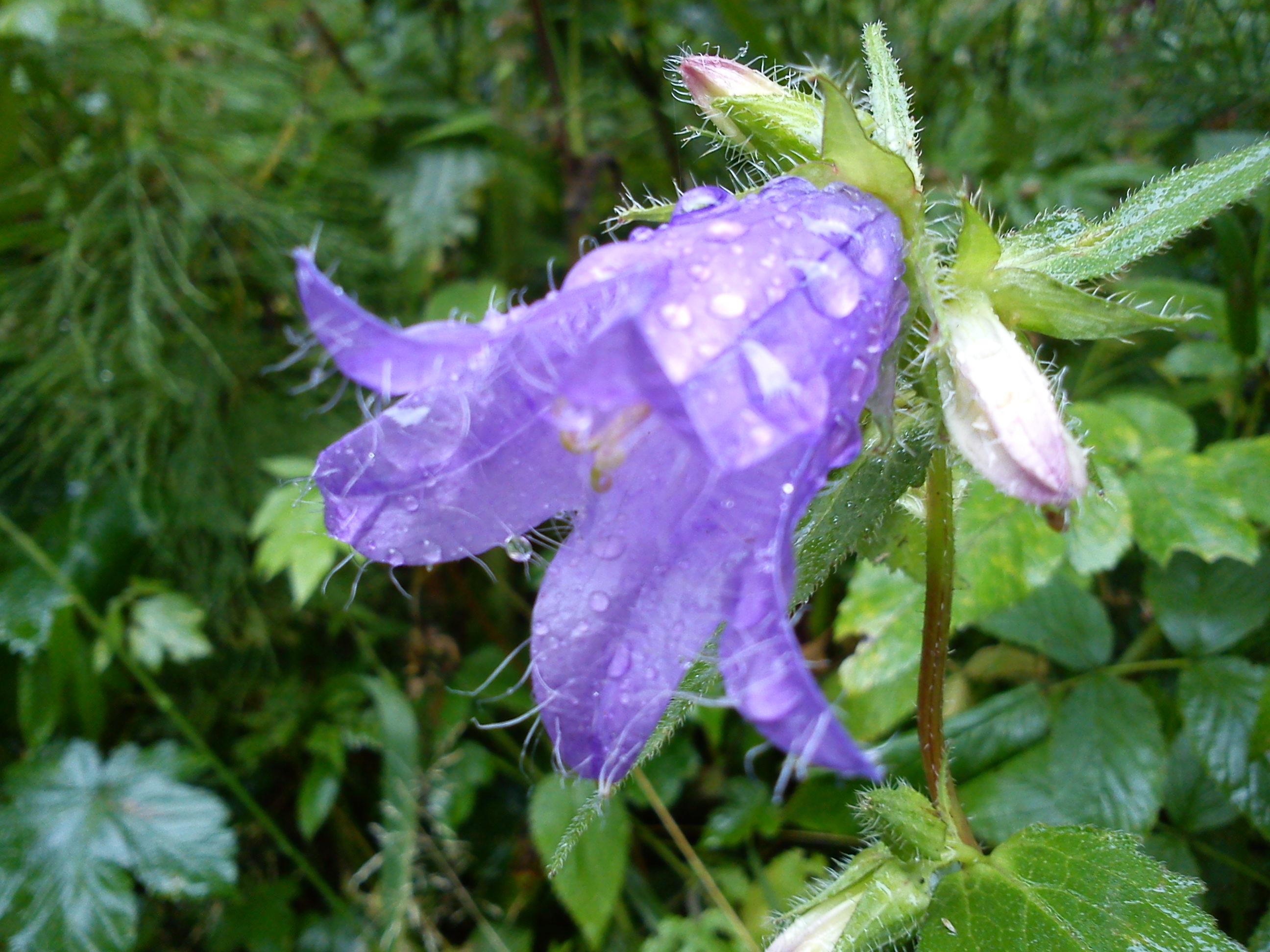 DSC00168
