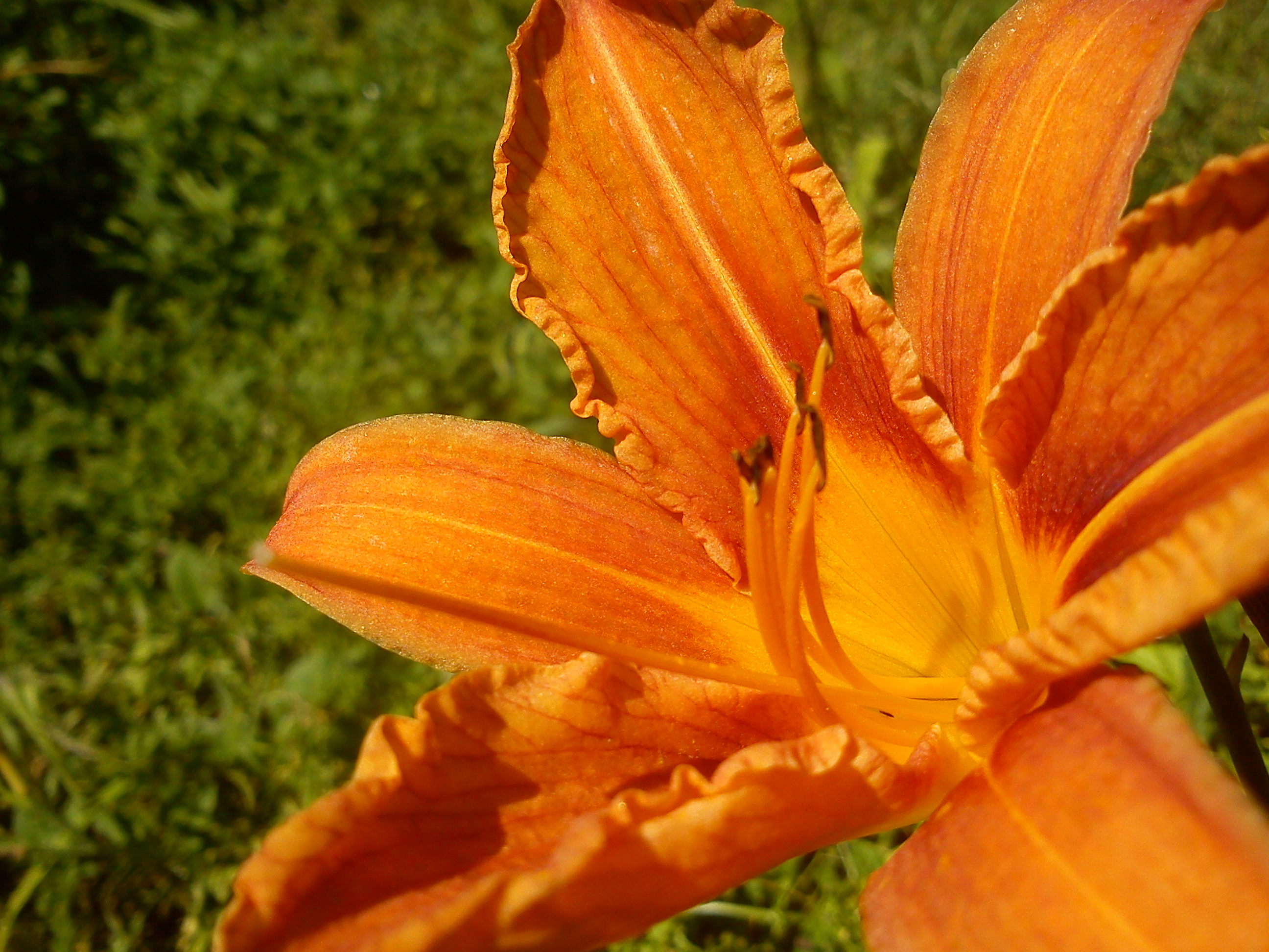 DSC00127