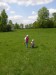 DSCN3993web.jpg